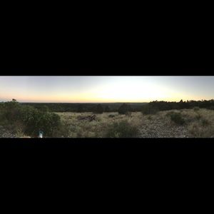 Meet your Posher, Abbi